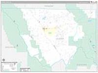 Custer, Co Carrier Route Wall Map