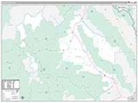 Custer, Id Carrier Route Wall Map