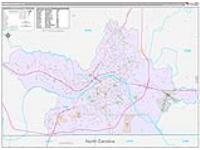 Danville, Va Carrier Route Wall Map
