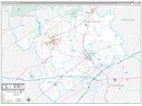 Darlington, Sc Carrier Route Wall Map