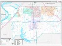 Desoto, Ms Carrier Route Wall Map