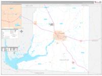 Decatur County, GA Zip Code Wall Map Basic Style by MarketMAPS - MapSales