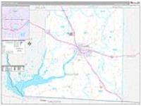 Decatur, Ga Carrier Route Wall Map