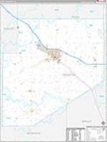 Decatur, In Carrier Route Wall Map