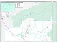 Delta, Co Carrier Route Wall Map