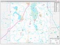 Dodge, Wi Carrier Route Wall Map