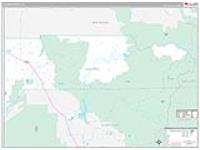 Dolores, Co Carrier Route Wall Map