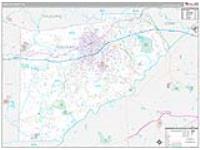 Douglas, Ga Carrier Route Wall Map