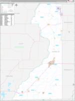 Dunklin County MO Carrier Route Wall Map Basic Style By MarketMAPS MapSales