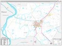 Dyer, Tn Carrier Route Wall Map