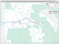Eagle, Co Carrier Route Wall Map