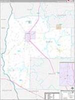 Early, Ga Carrier Route Wall Map