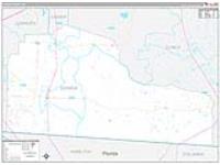 Echols, Ga Carrier Route Wall Map