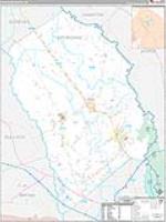 Effingham, Ga Carrier Route Wall Map