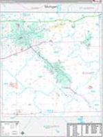 Elkhart, In Carrier Route Wall Map