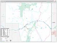 Elko, Nv Carrier Route Wall Map