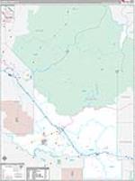 Elmore, Id Carrier Route Wall Map