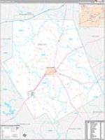 Erath, Tx Carrier Route Wall Map