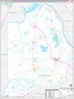 Evangeline Parish (), La Carrier Route Wall Map