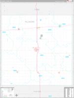 Fillmore, Ne Carrier Route Wall Map