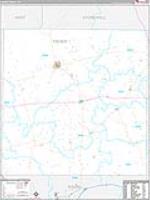 Fisher, Tx Carrier Route Wall Map