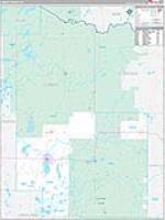 Forest, Wi Carrier Route Wall Map