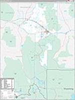Gallatin, Mt Carrier Route Wall Map
