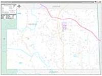 George, Ms Carrier Route Wall Map