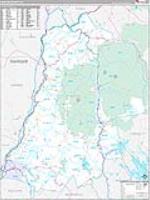 Grafton, Nh Carrier Route Wall Map