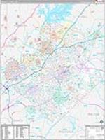 Gwinnett, Ga Carrier Route Wall Map