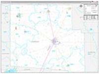 Hardin, Oh Carrier Route Wall Map