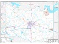 Harrison, Tx Carrier Route Wall Map