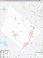 Hays, Tx Carrier Route Wall Map