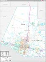 Hidalgo, Tx Carrier Route Wall Map