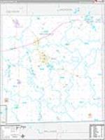 Hillsdale, Mi Carrier Route Wall Map