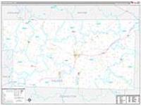 Holmes, Oh Carrier Route Wall Map