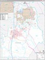 Houston, Ga Carrier Route Wall Map