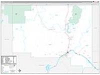 Humboldt, Nv Carrier Route Wall Map
