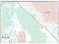 Inyo, Ca Carrier Route Wall Map