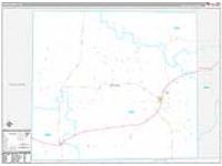 Irion, Tx Carrier Route Wall Map
