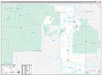 Iron, Mo Carrier Route Wall Map