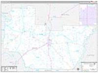 Irwin, Ga Carrier Route Wall Map