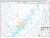 Jackson, Al Carrier Route Wall Map