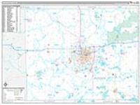 Jackson, Mi Carrier Route Wall Map