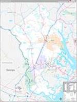 Jasper, Sc Carrier Route Wall Map