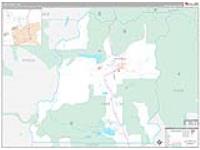 Lake, Co Carrier Route Wall Map