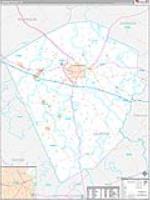 Laurens, Ga Carrier Route Wall Map