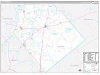 Lavaca, Tx Carrier Route Wall Map
