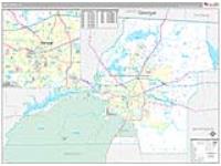 Leon, Fl Carrier Route Wall Map