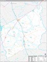 Leon, Tx Carrier Route Wall Map